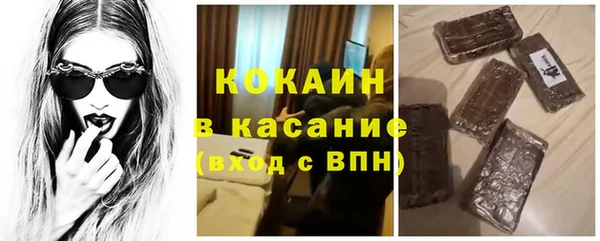 твердый Бронницы