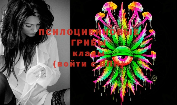 марки lsd Бородино