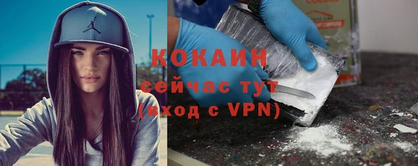 твердый Бронницы